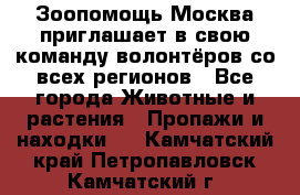 Зоопомощь.Москва приглашает в свою команду волонтёров со всех регионов - Все города Животные и растения » Пропажи и находки   . Камчатский край,Петропавловск-Камчатский г.